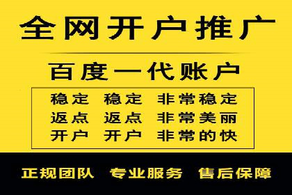企业SEM服务实战案例解析